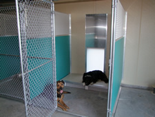 Green Kennels