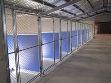 kennels